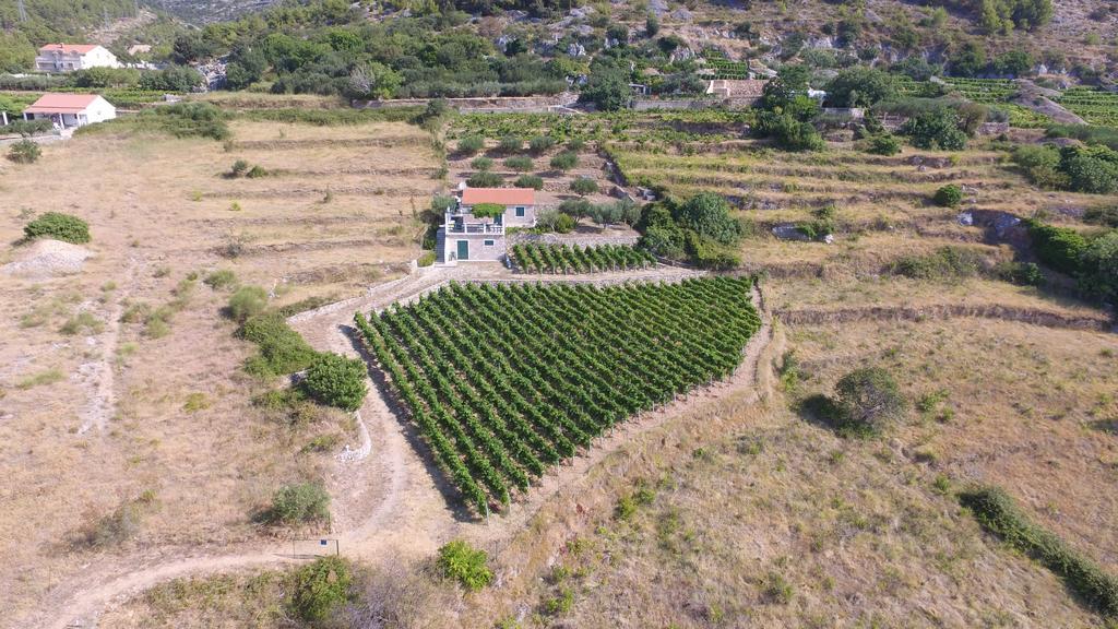 Holiday Home Vineyard House Bol Zewnętrze zdjęcie