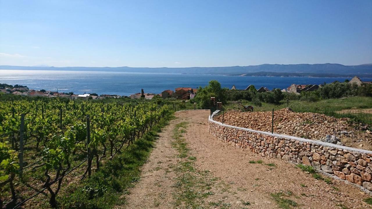 Holiday Home Vineyard House Bol Zewnętrze zdjęcie