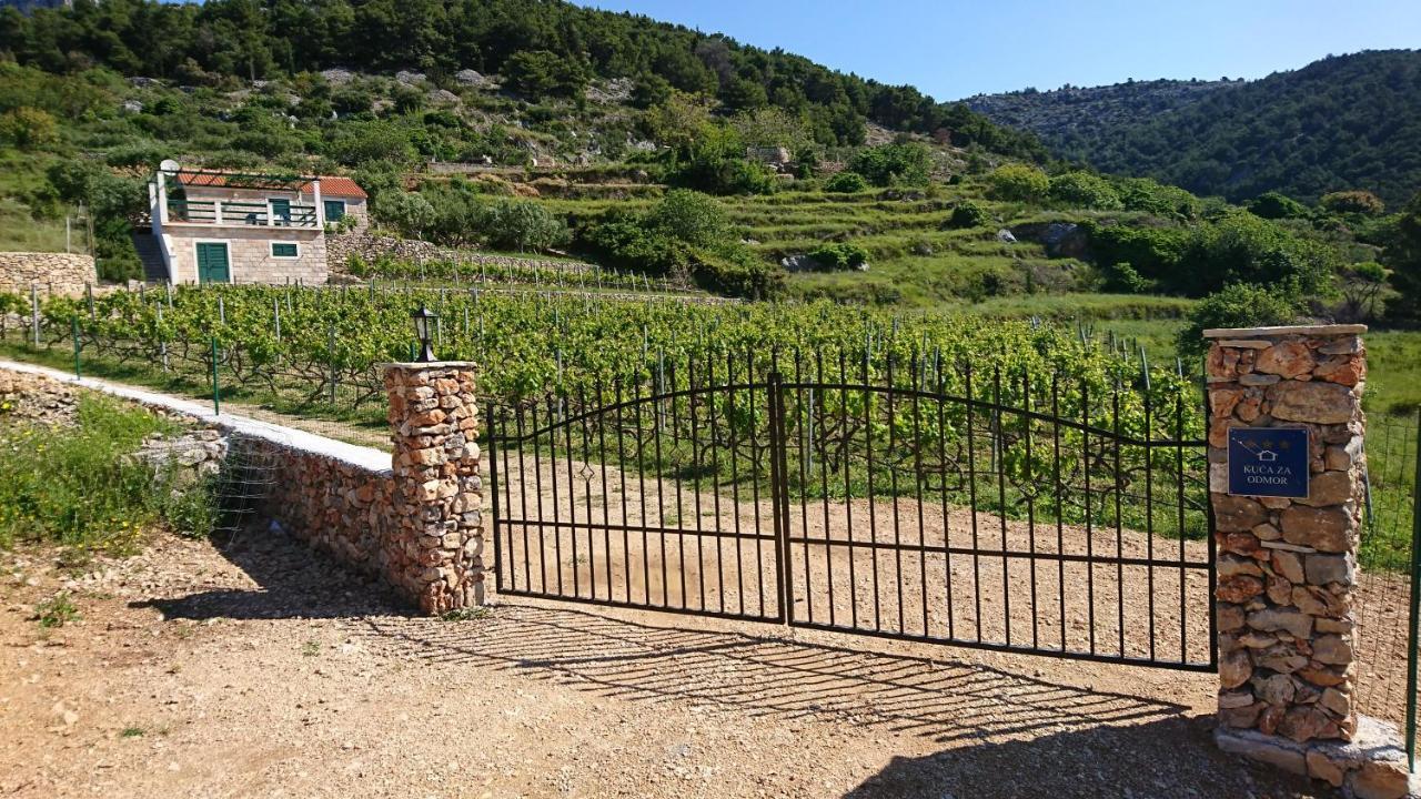 Holiday Home Vineyard House Bol Zewnętrze zdjęcie